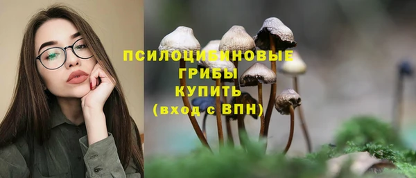 молекула духа Мегион