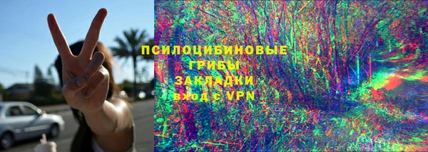 молекула духа Мегион