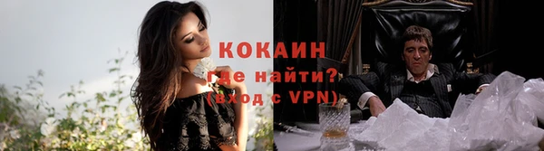 молекула духа Мегион